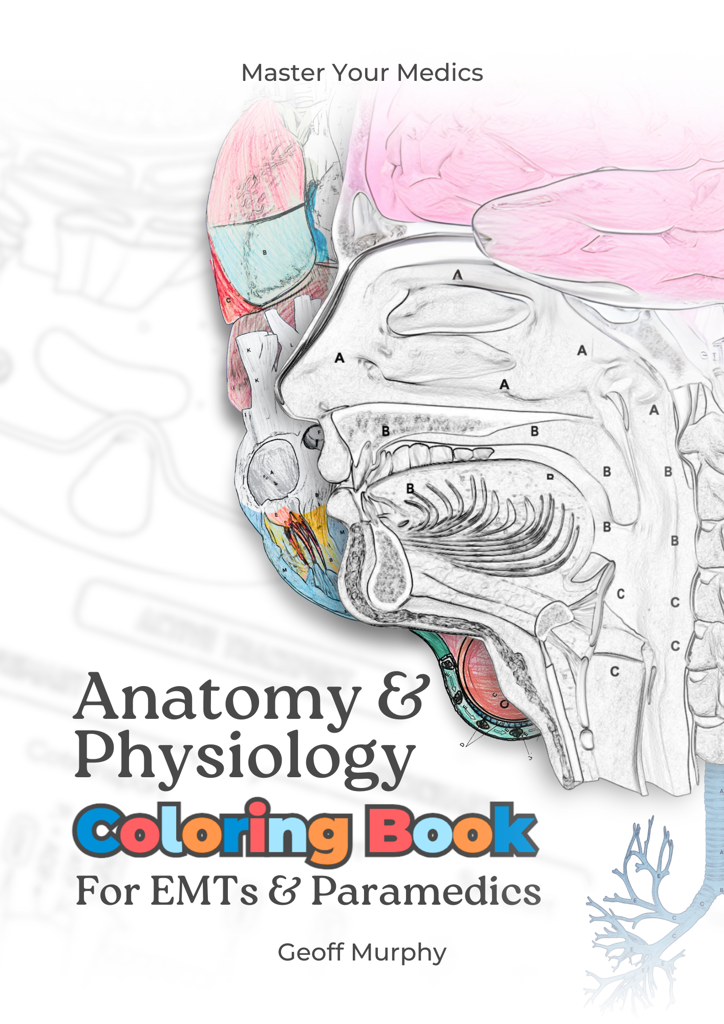 Anatomy & Physiology Coloring Book for EMTs & Paramedics