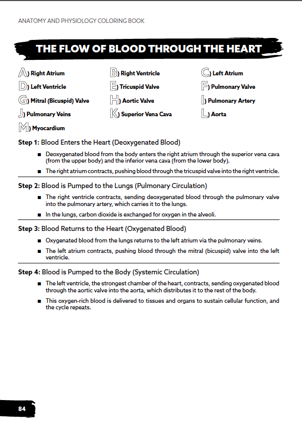 Medical Terminology Workbook | Anatomy and Physiology Coloring Book (School Review Copy)